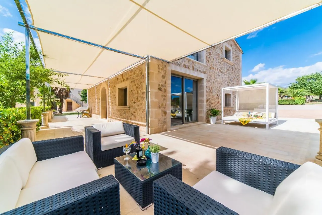 Ideal Property Mallorca - Perot María de la Salud Hiszpania