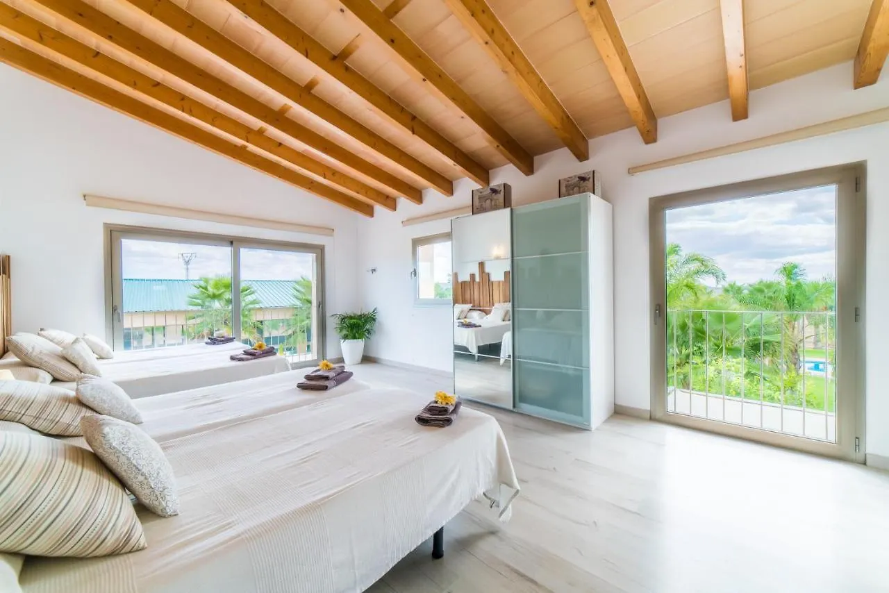 Ideal Property Mallorca - Perot María de la Salud