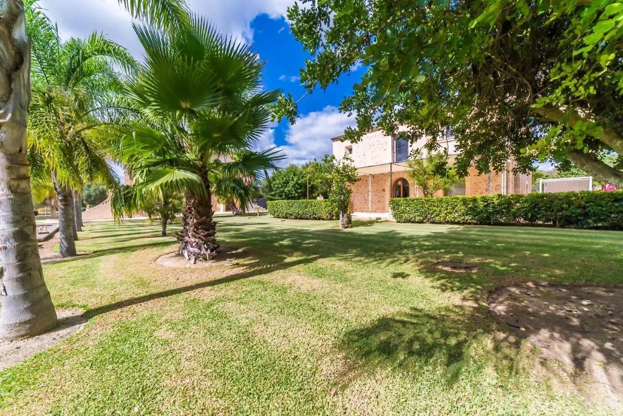 Ideal Property Mallorca - Perot María de la Salud 스페인